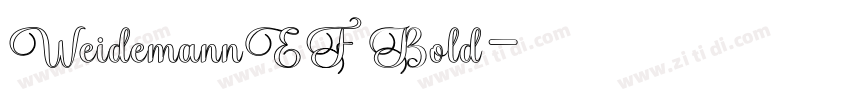 WeidemannEF Bold字体转换 WeidemannEF Bold字体转换